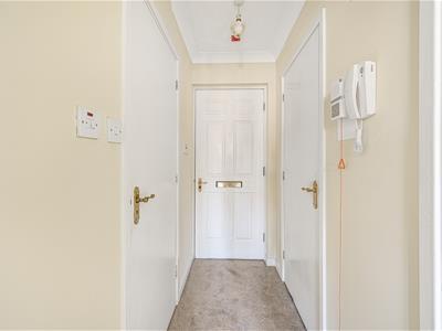 Picture 11
